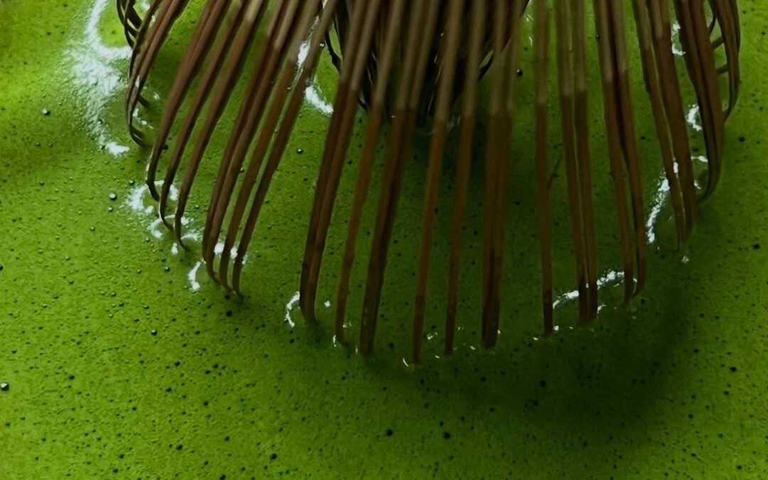 Zleymatcha: Discover Your Favorite Matcha Character
