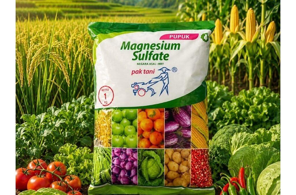 Pentingnya Produk Pertanian Berkualitas bagi Petani